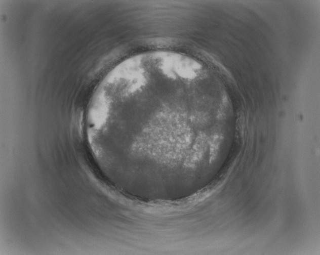 X0000080810024200701051201