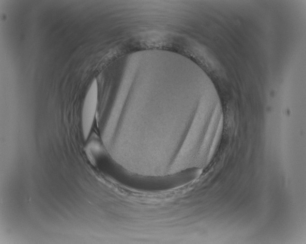 X0000080810025200701051201