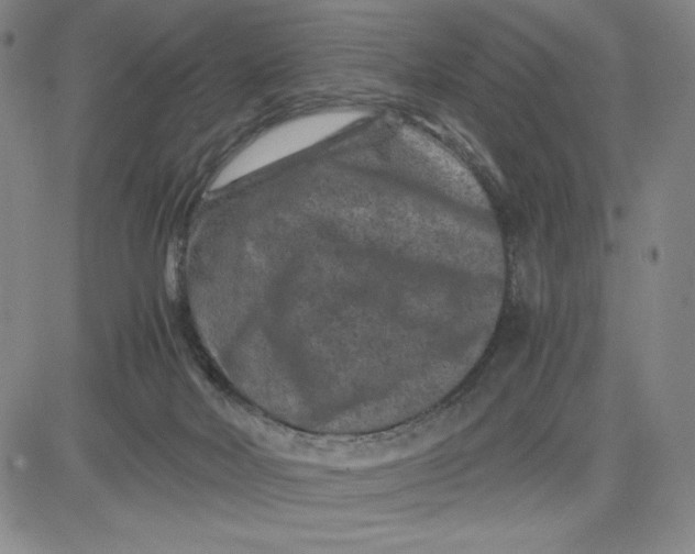 X0000080810026200701051201