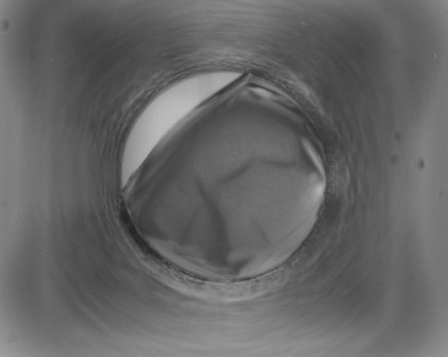 X0000080810027200701051201