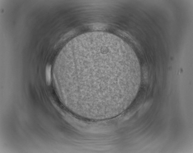 X0000080810028200701051201