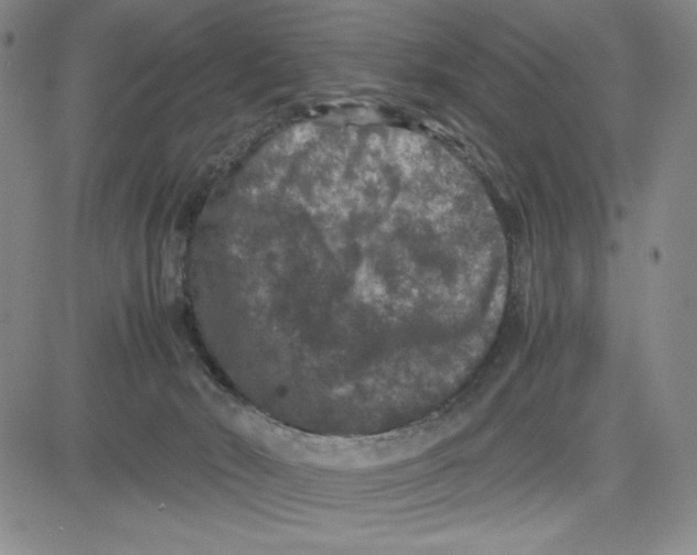 X0000080810030200701051201