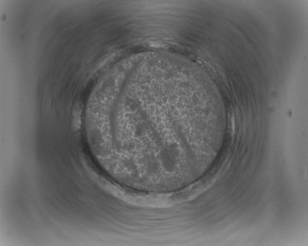 X0000080810032200701051201