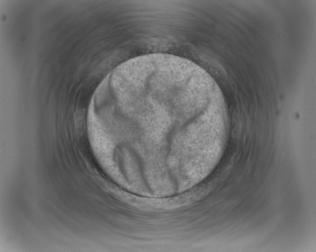 X0000080810034200701051201