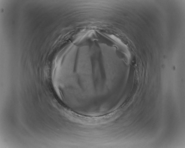 X0000080810035200701051201