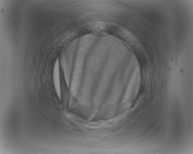 X0000080810037200701051201