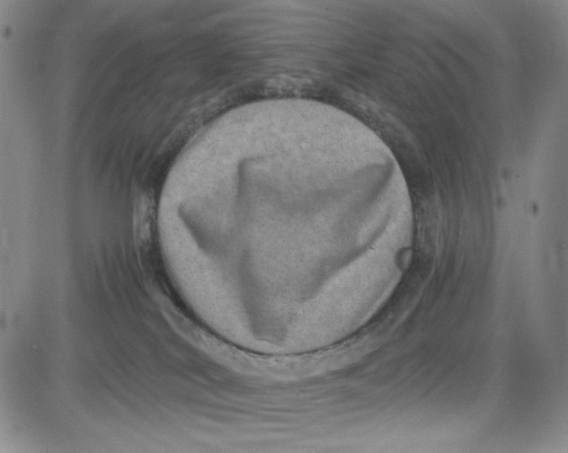 X0000080810038200701051201