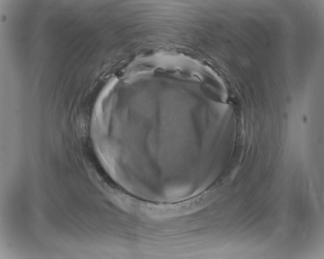 X0000080810039200701051201