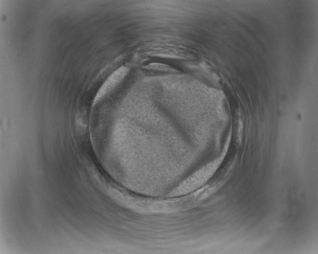 X0000080810040200701051201