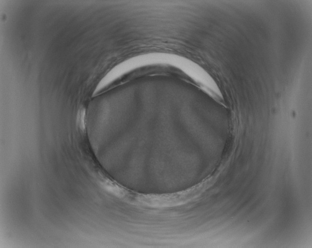 X0000080810041200701051201