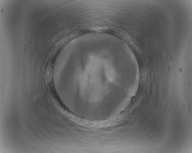 X0000080810043200701051201