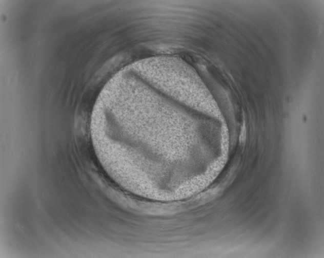 X0000080810044200701051201