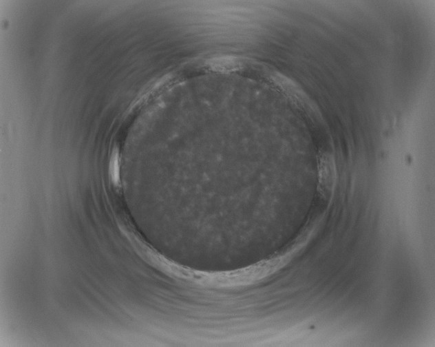 X0000080810046200701051201