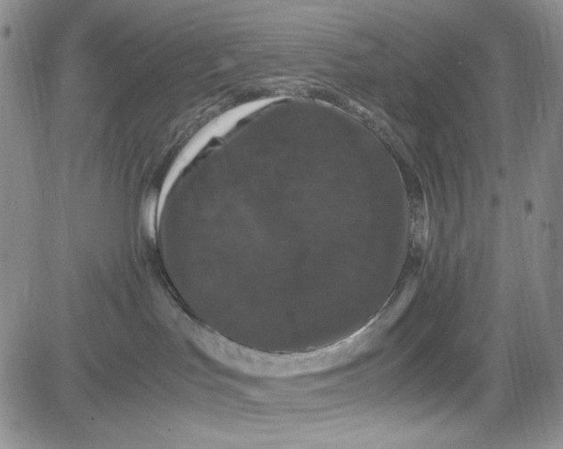 X0000080810047200701051201