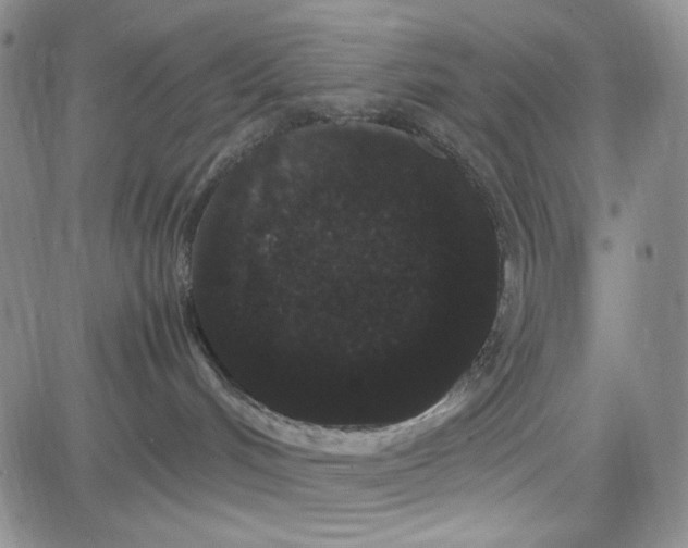 X0000080810048200701051201