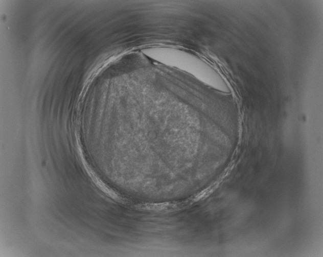 X0000080810049200701051200