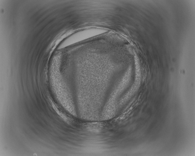 X0000080810050200701051200