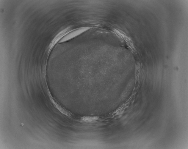 X0000080810051200701051200