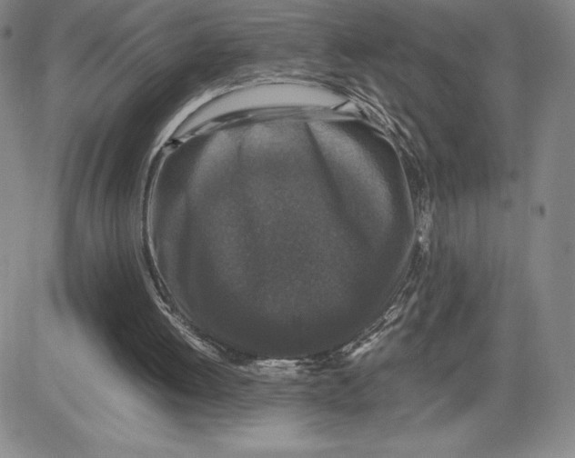 X0000080810052200701051200