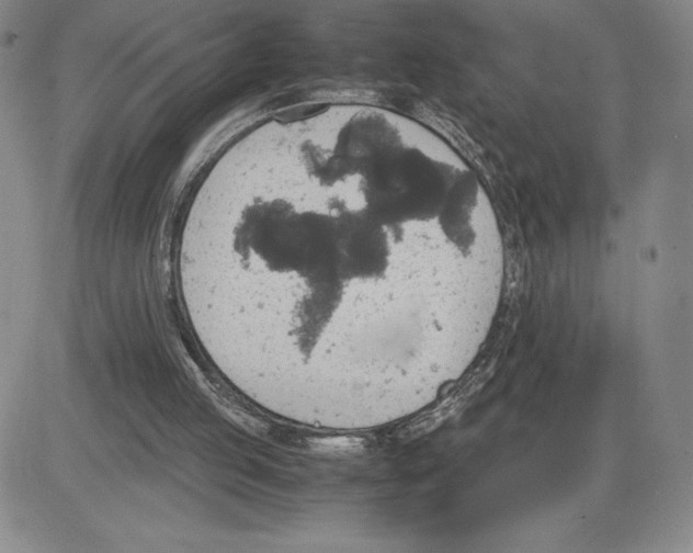 X0000080810053200701051200