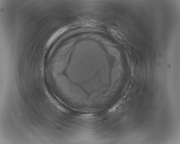 X0000080810054200701051200