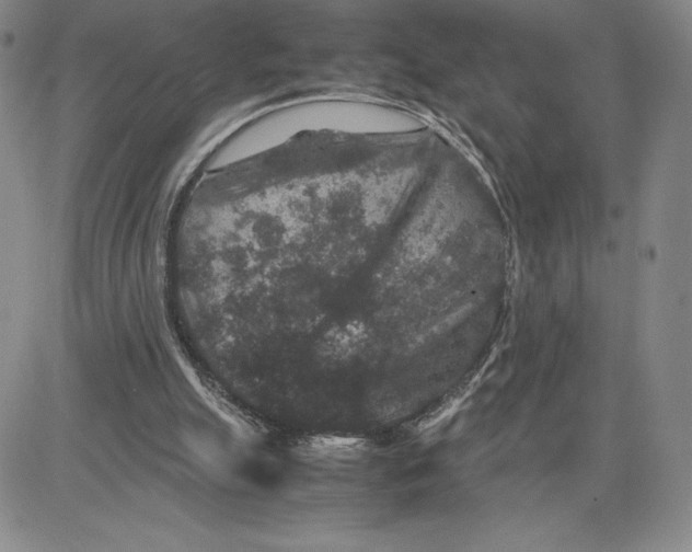 X0000080810055200701051200