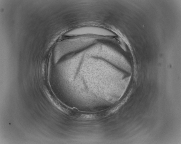 X0000080810057200701051200