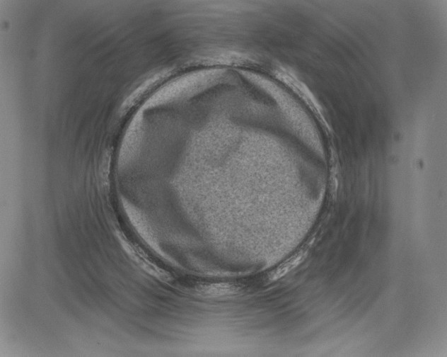 X0000080810058200701051200