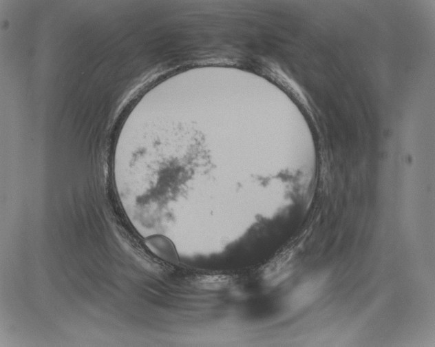 X0000080810059200701051200