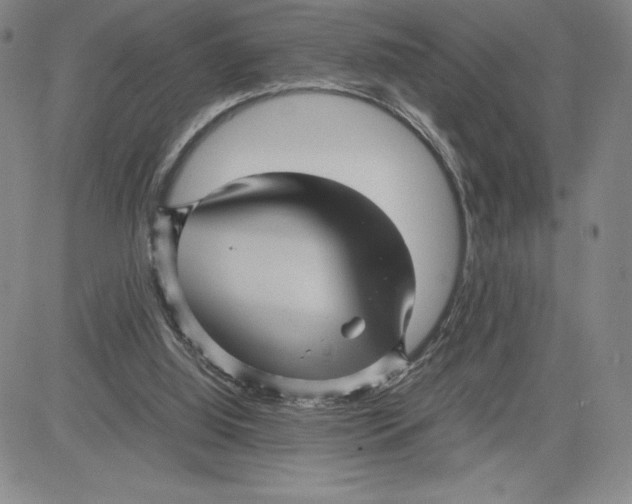 X0000080810060200701051200