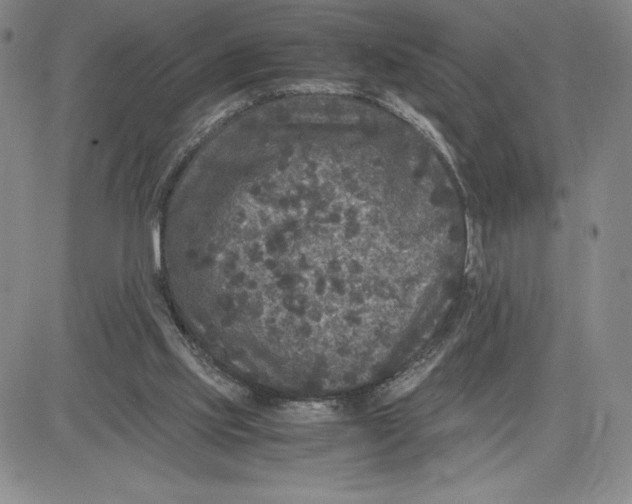 X0000080810061200701051200