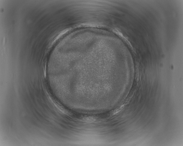 X0000080810062200701051200