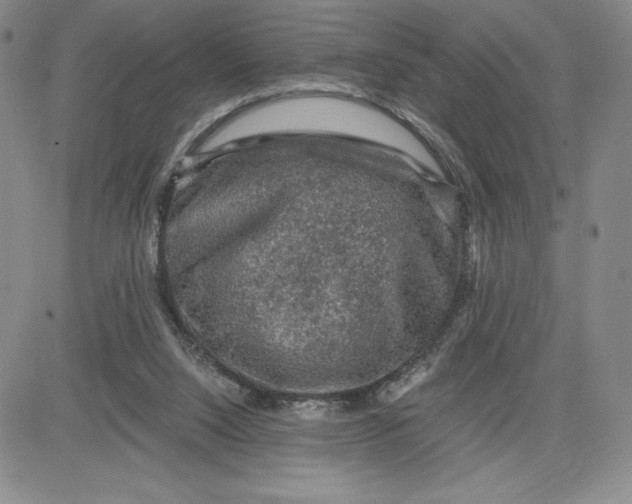 X0000080810064200701051200