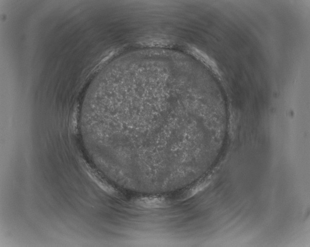 X0000080810065200701051200