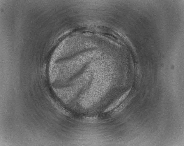 X0000080810066200701051200