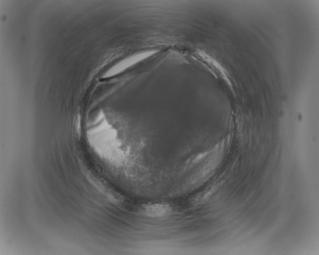 X0000080810067200701051200