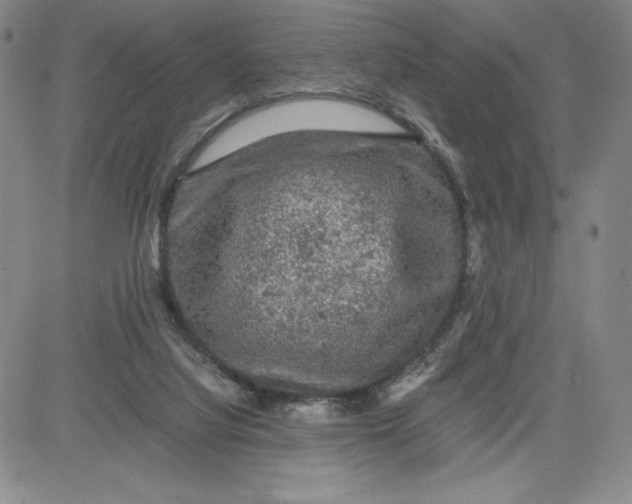 X0000080810068200701051200