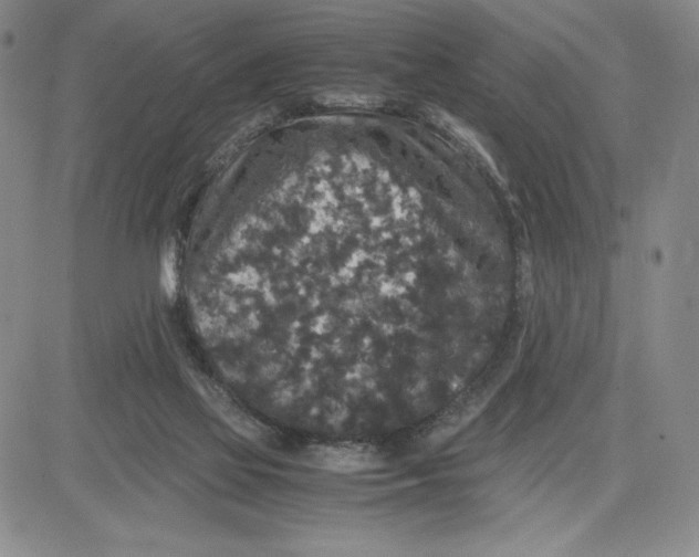 X0000080810069200701051200