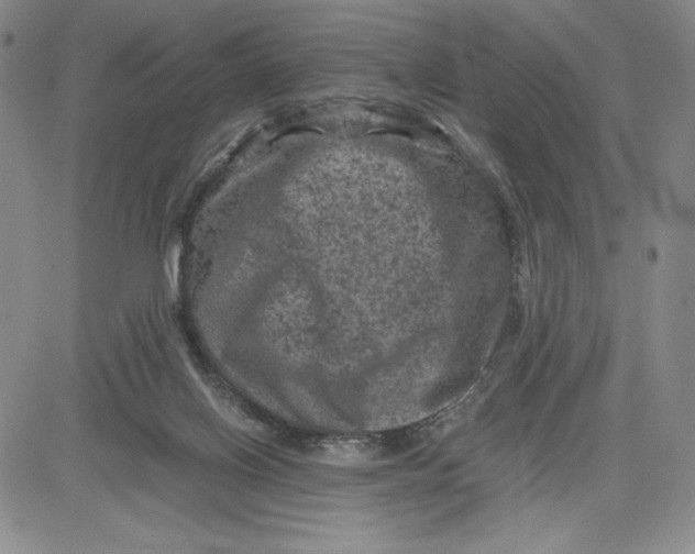 X0000080810070200701051200