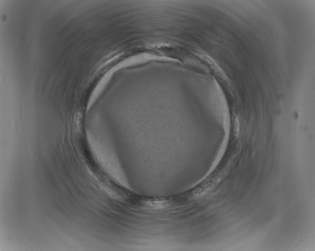 X0000080810071200701051200