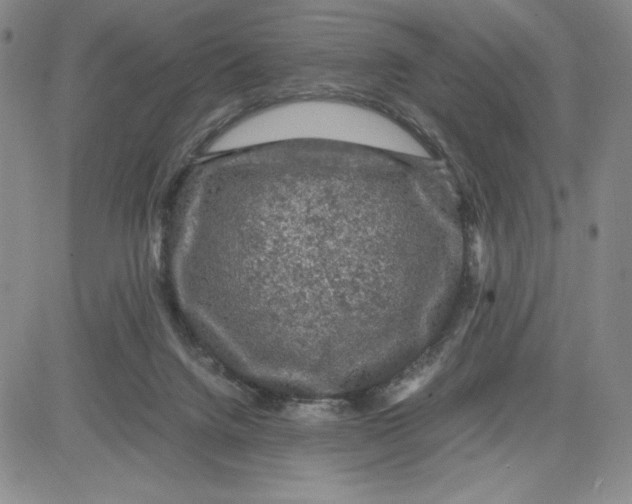 X0000080810072200701051200