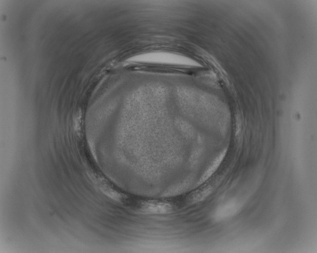 X0000080810073200701051200