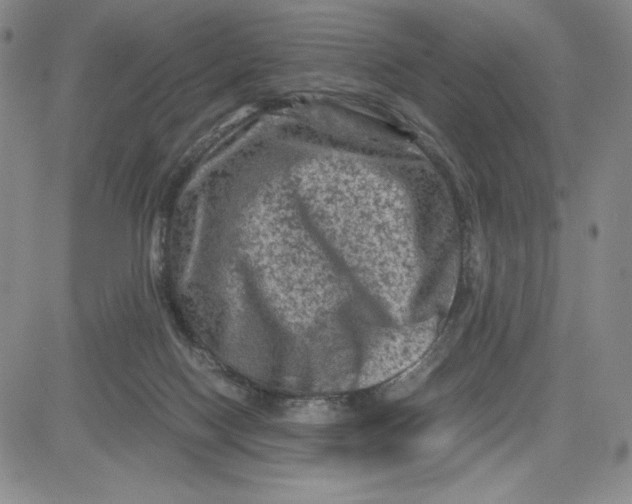 X0000080810074200701051200