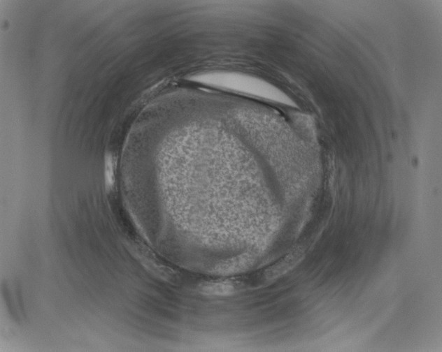 X0000080810075200701051200