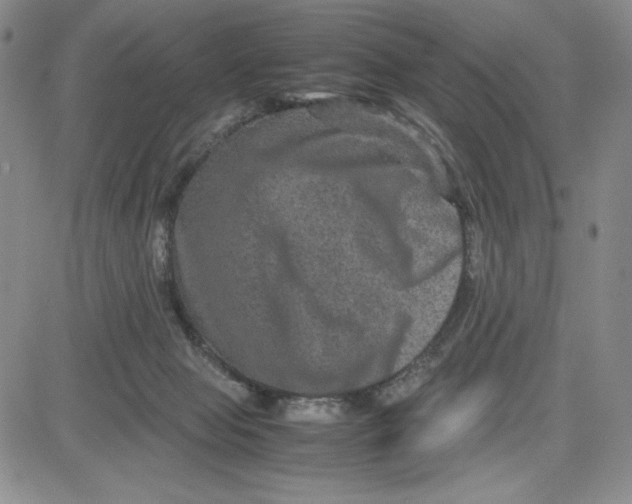 X0000080810077200701051200