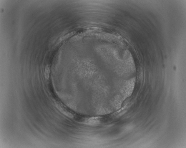 X0000080810078200701051200