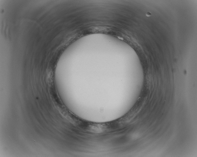 X0000080810079200701051200