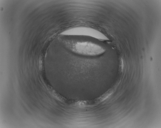 X0000080810080200701051200