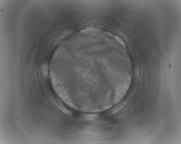 X0000080810081200701051201