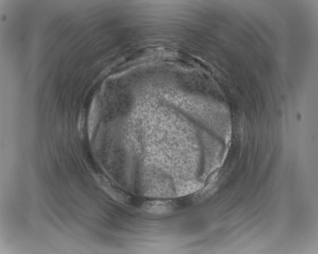 X0000080810082200701051201